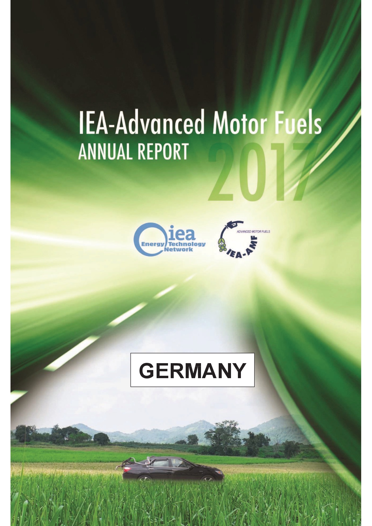 AMF Advanced Motor Fuels